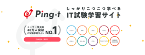 引用：ping-t